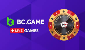 Explore Excitement at Bc Fun Casino